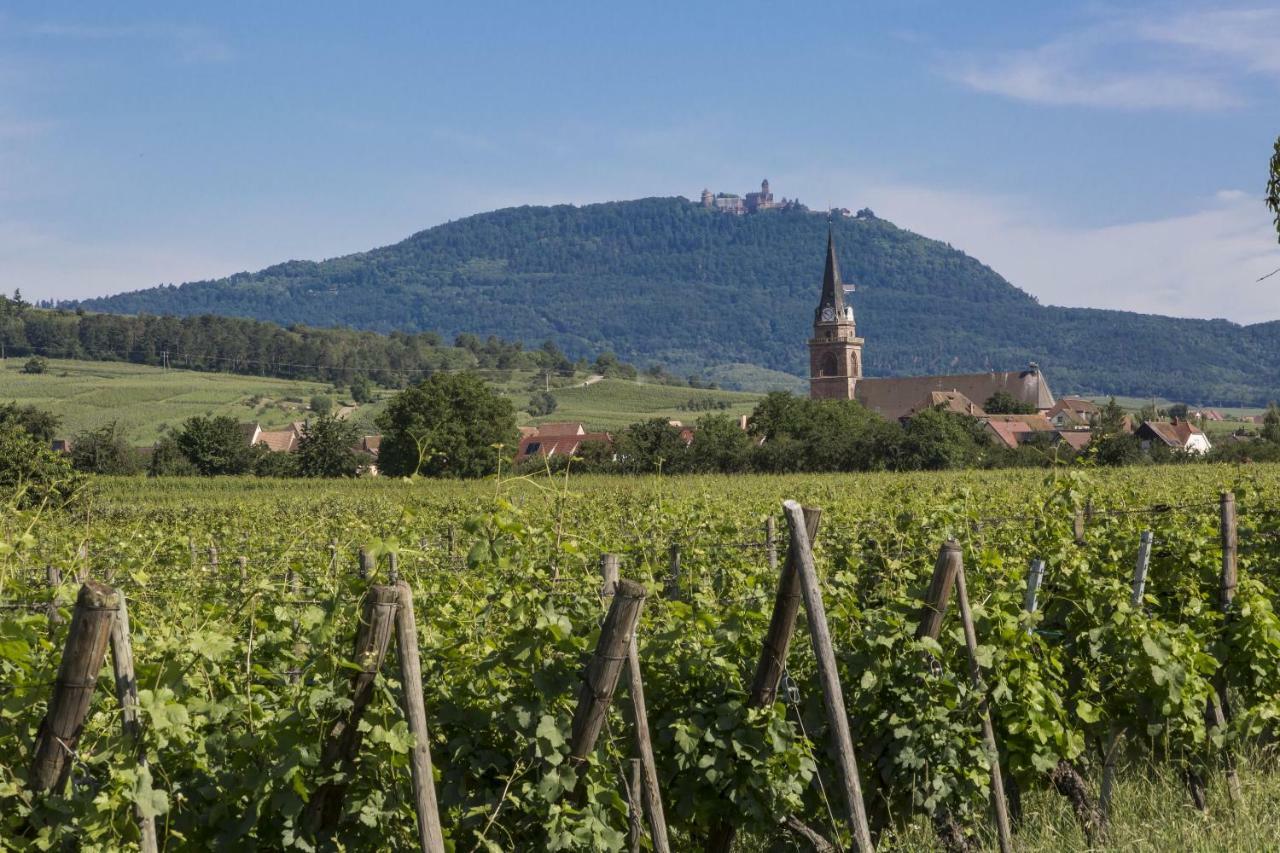 Residence Odalys Le Domaine Des Rois ベルクハイム エクステリア 写真